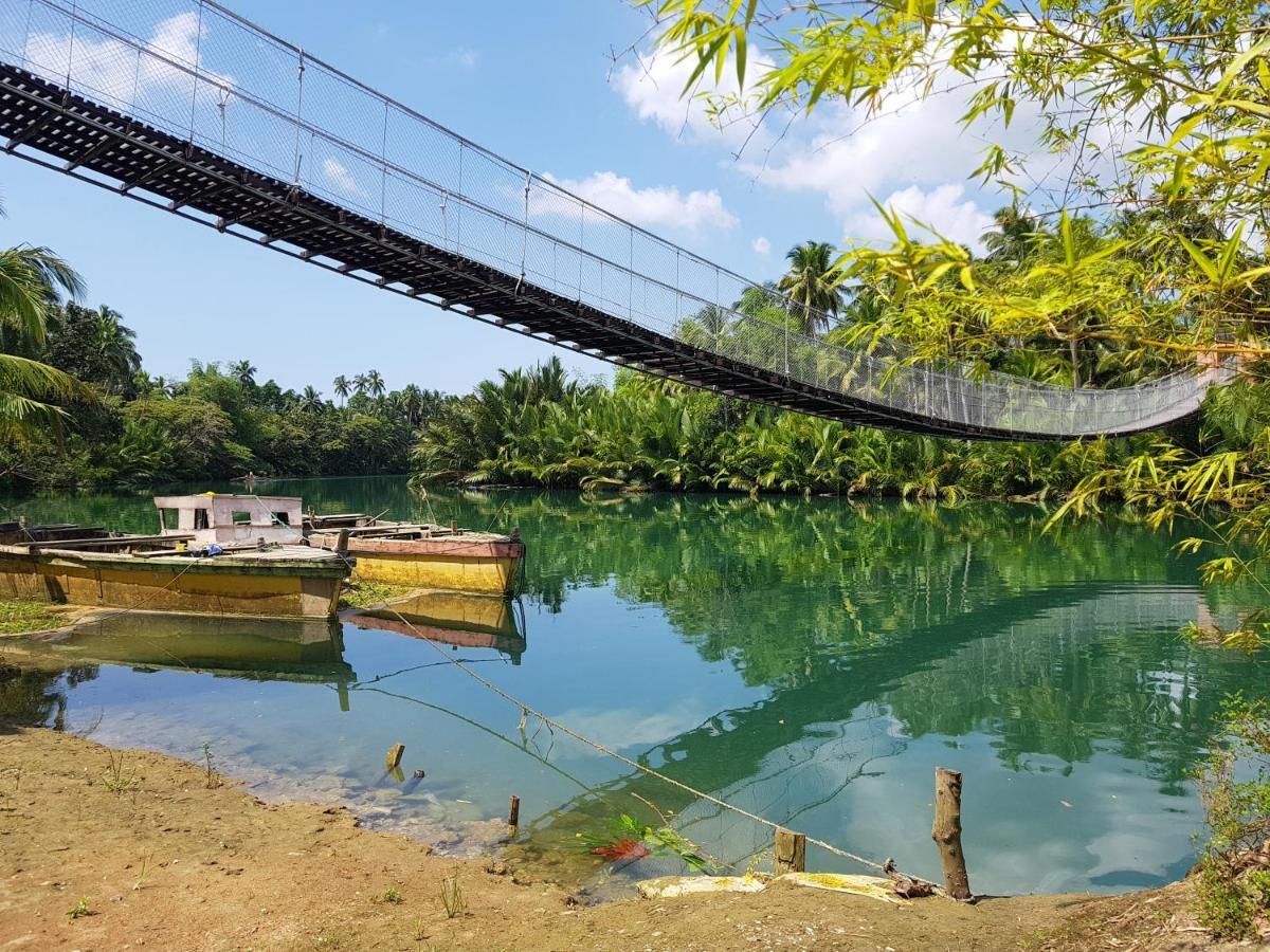 Loboc River Resort Extérieur photo